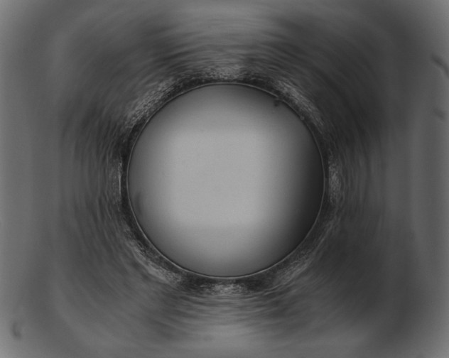 X0000103220493200809111511