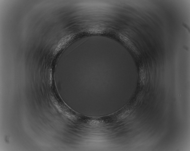 X0000103220494200809111511