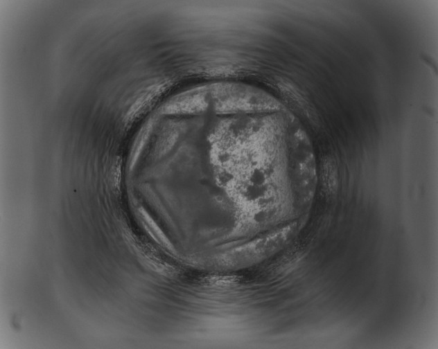 X0000103220495200809111511