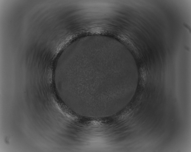 X0000103220496200809111511