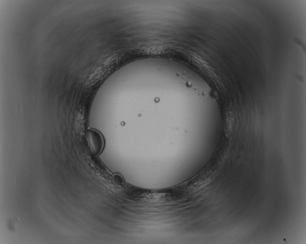 X0000103220497200809111511