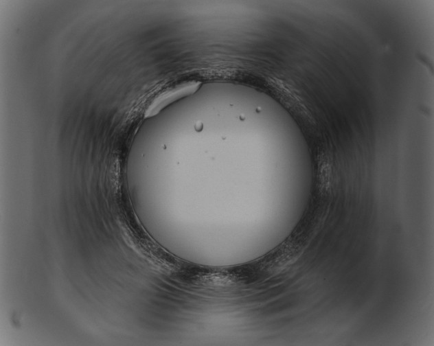 X0000103220498200809111511