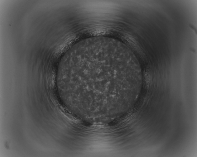 X0000103220499200809111511