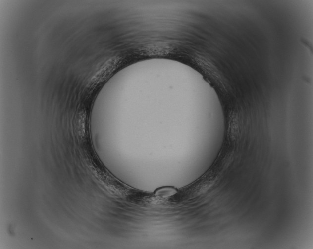 X0000103220501200809111511