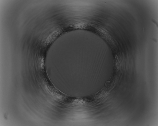 X0000103220502200809111511