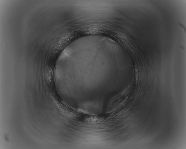 X0000103220503200809111511