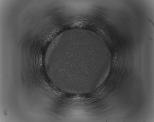 X0000103220504200809111511