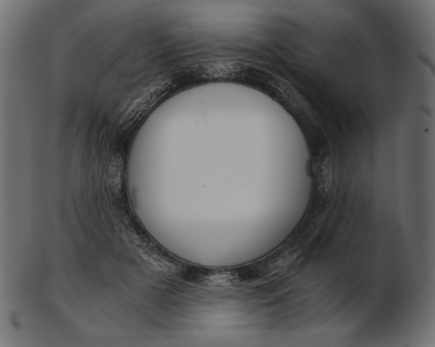 X0000103220505200809111511