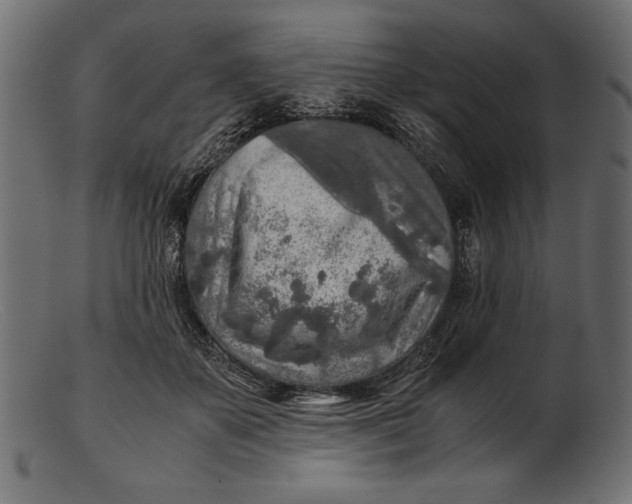 X0000103220507200809111511