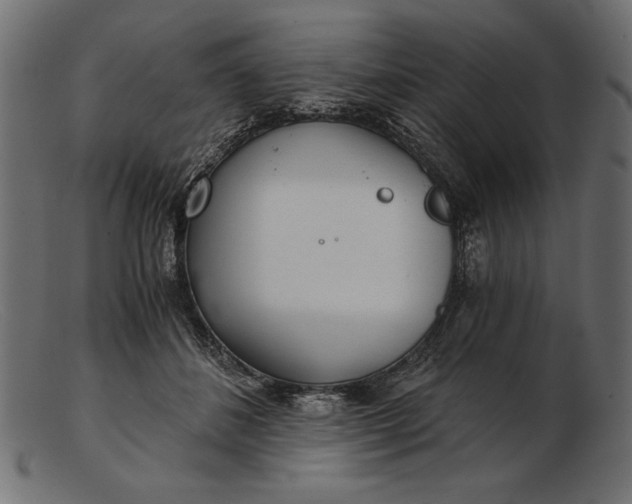 X0000103220508200809111511