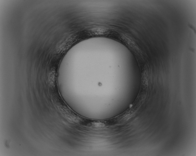 X0000103220509200809111511