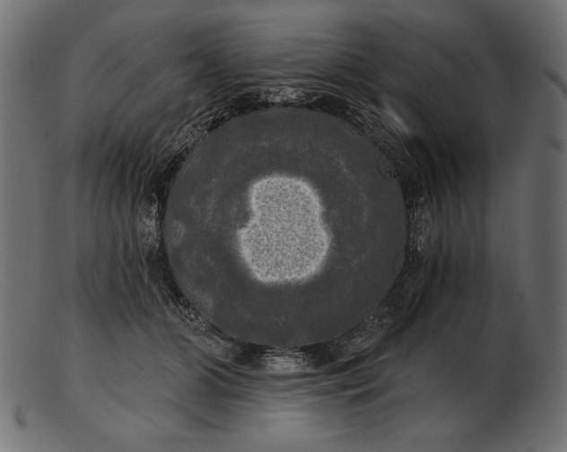 X0000103220510200809111511