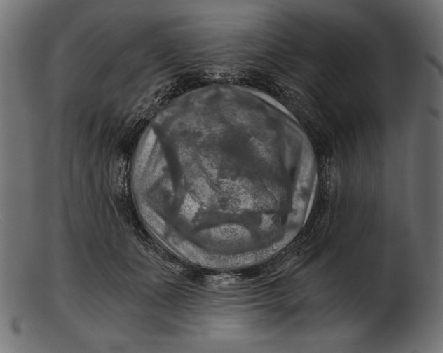 X0000103220511200809111511