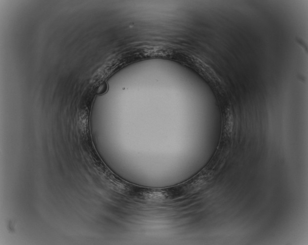 X0000103220513200809111511