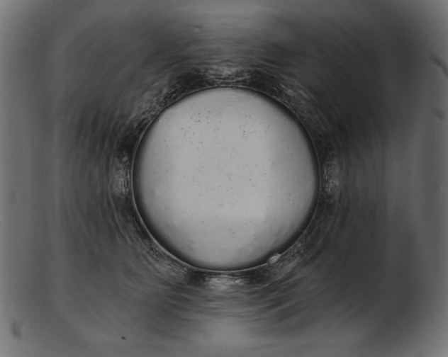 X0000103220515200809111511