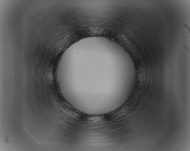 X0000103220516200809111511