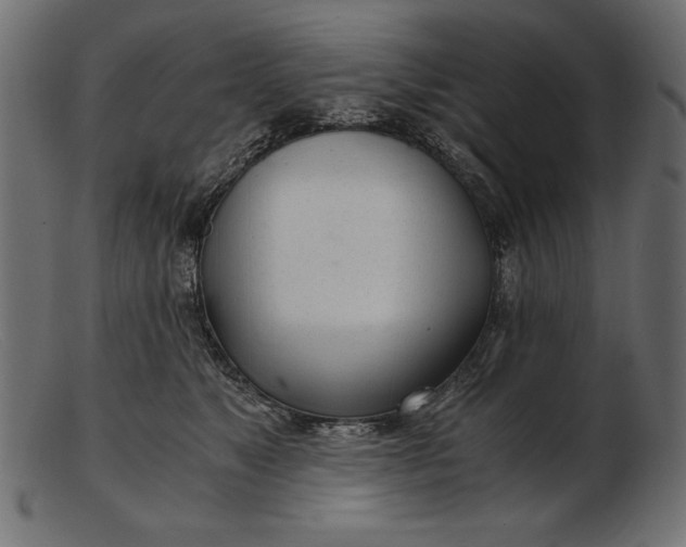 X0000103220517200809111511