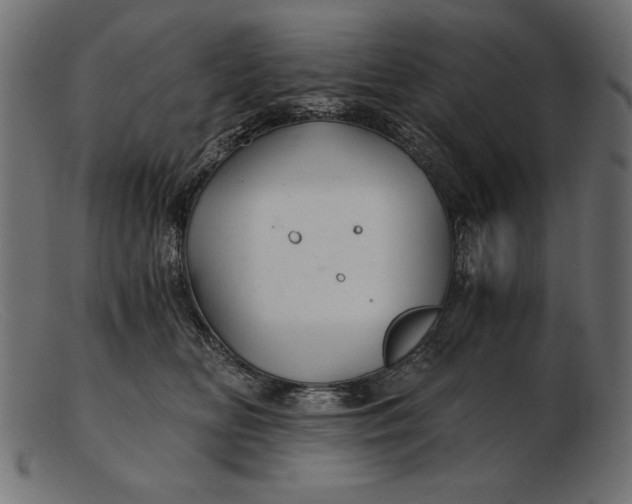 X0000103220518200809111511