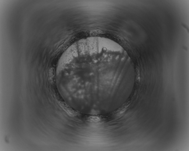 X0000103220519200809111511