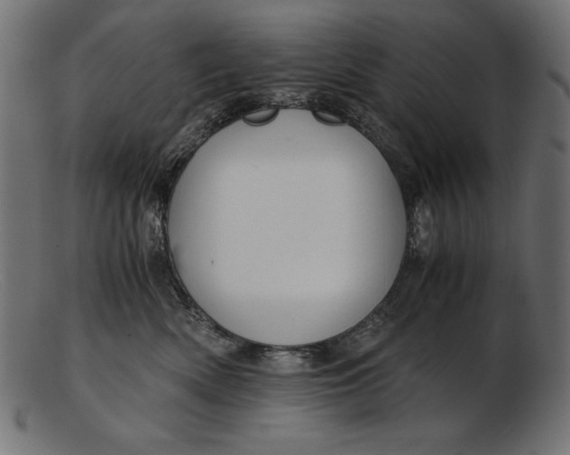 X0000103220522200809111511