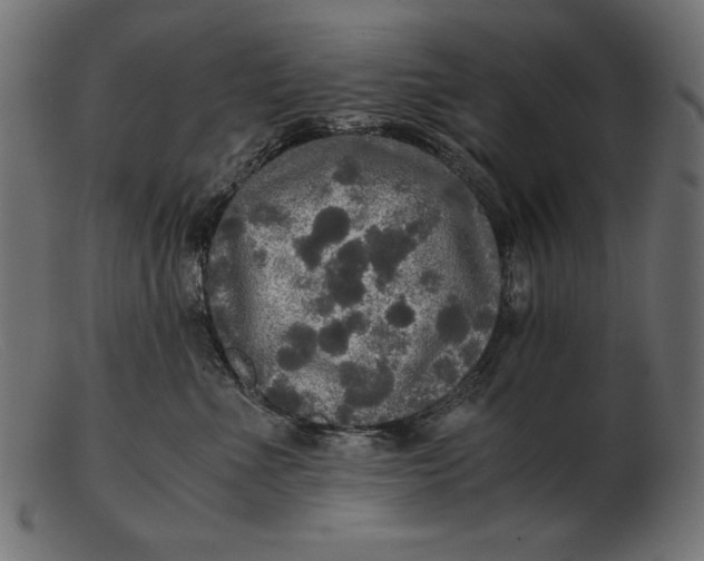 X0000103220523200809111511