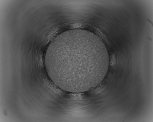 X0000103220524200809111511