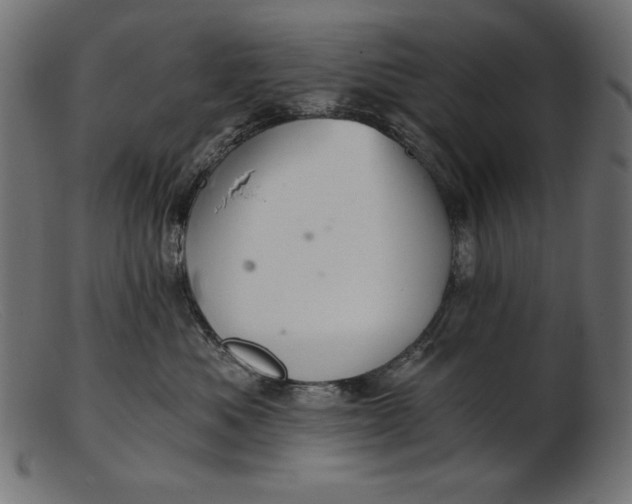 X0000103220525200809111511