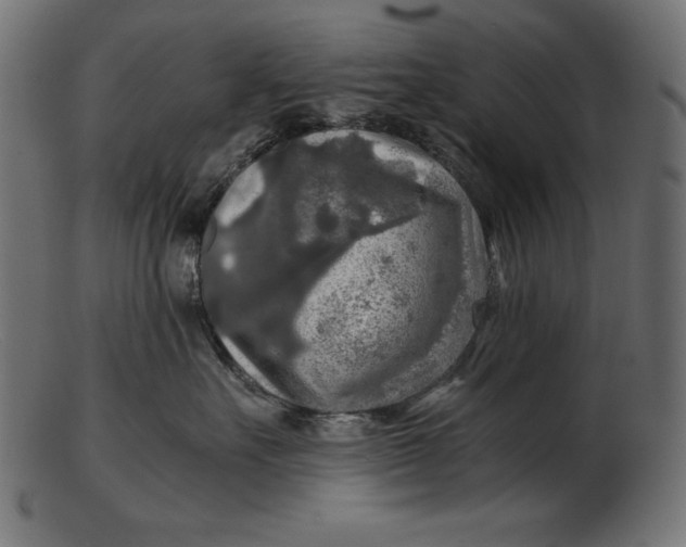 X0000103220527200809111510