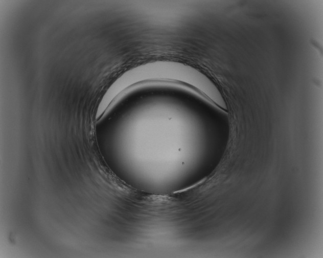 X0000103220528200809111510