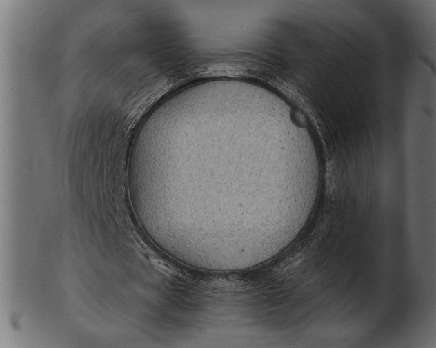 X0000103220529200809111510