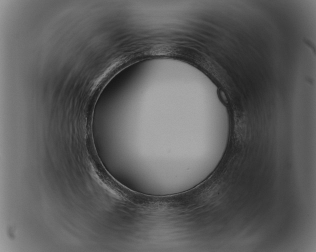 X0000103220530200809111510