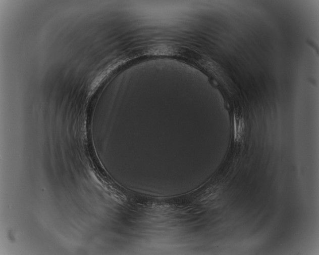 X0000103220531200809111510