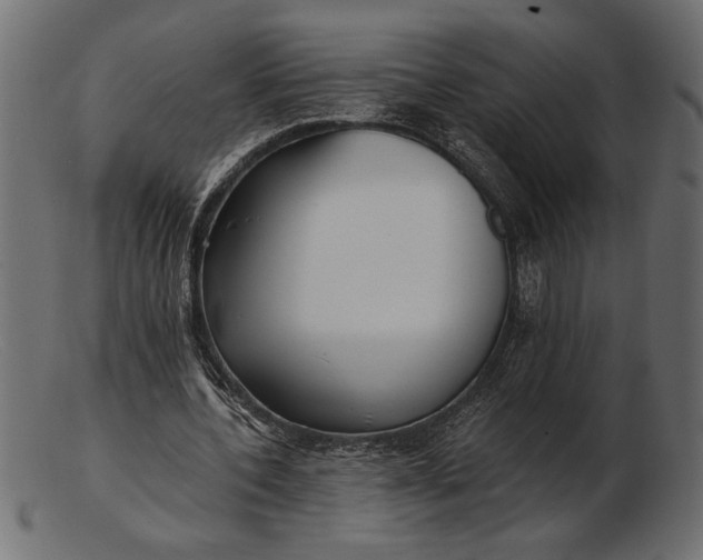 X0000103220532200809111510