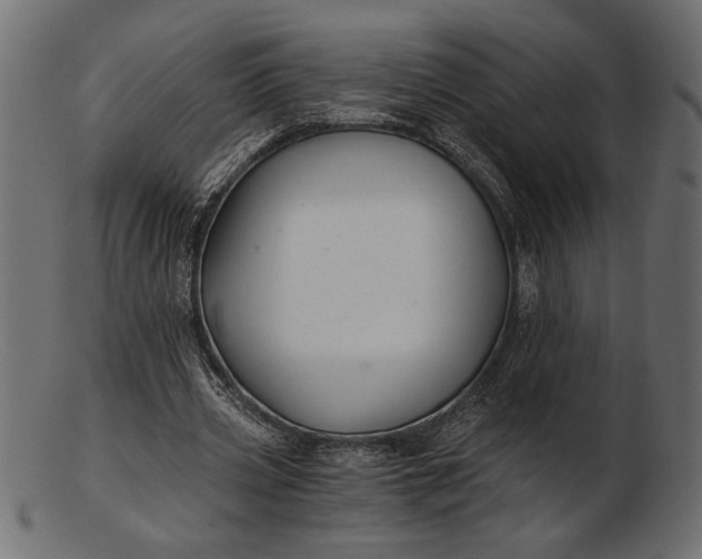 X0000103220533200809111510