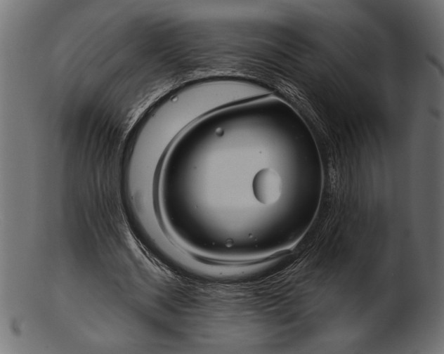 X0000103220534200809111510