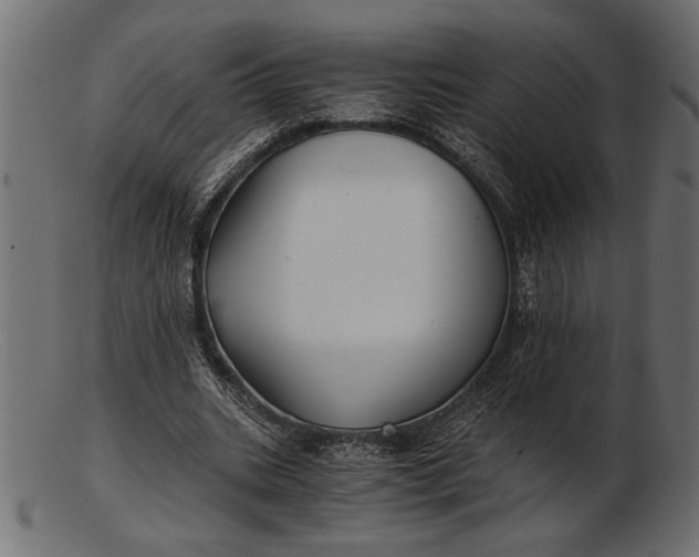 X0000103220535200809111510