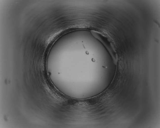 X0000103220536200809111510