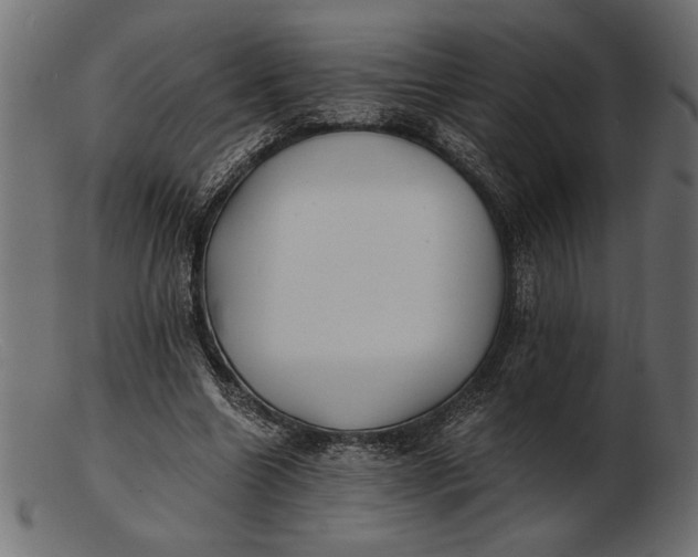 X0000103220538200809111510