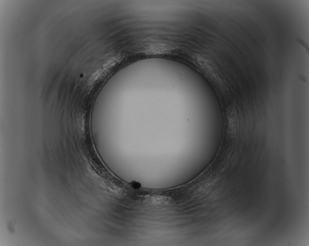 X0000103220539200809111510