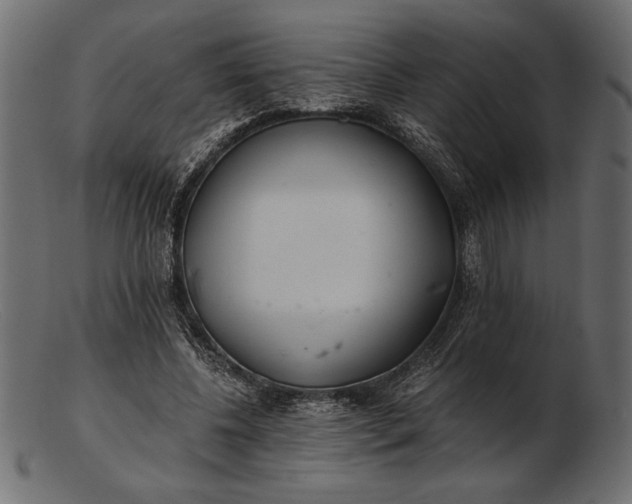 X0000103220540200809111510