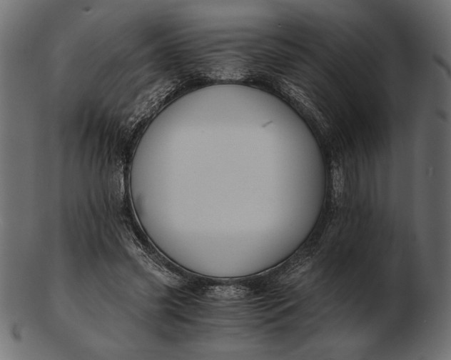 X0000103220541200809111510