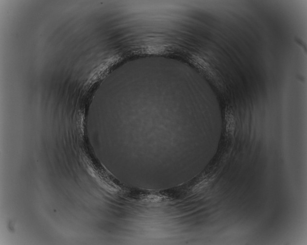 X0000103220542200809111510