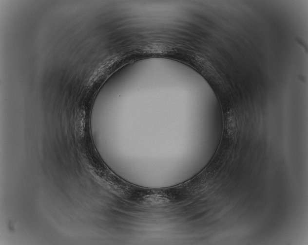 X0000103220544200809111510