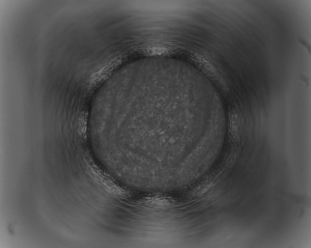 X0000103220545200809111510