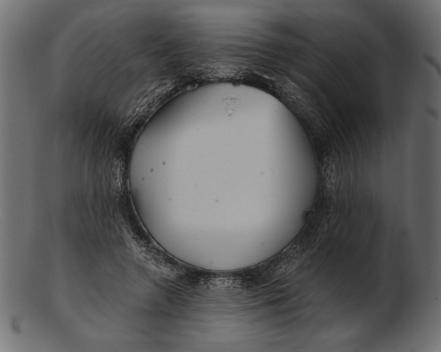 X0000103220546200809111510