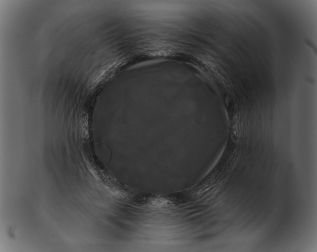 X0000103220547200809111510