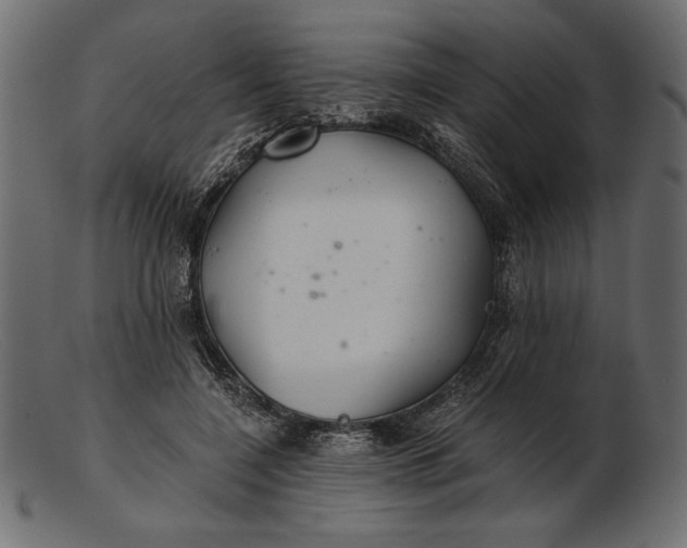 X0000103220548200809111510