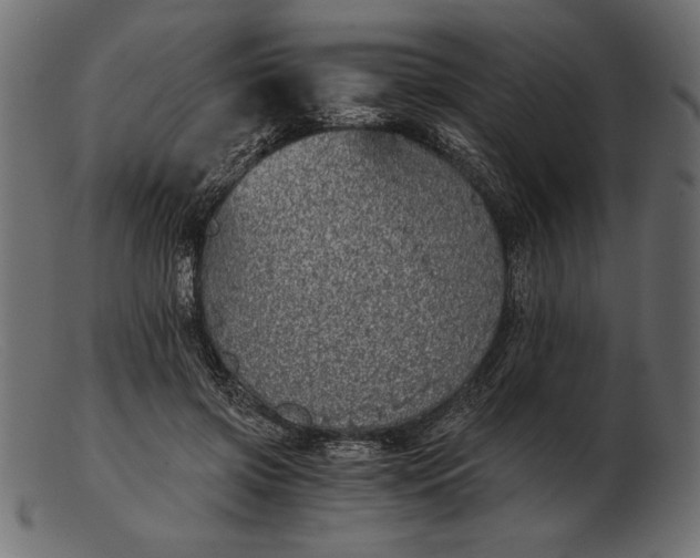 X0000103220549200809111510