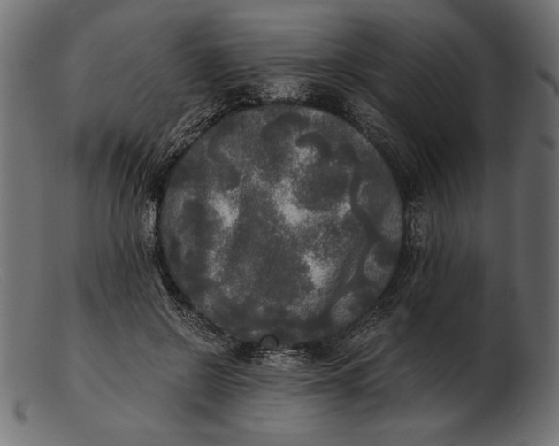 X0000103220550200809111510