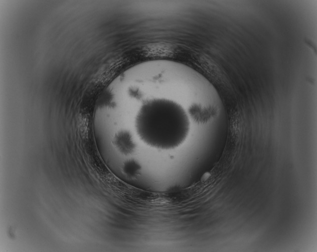 X0000103220551200809111510